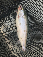 Load image into Gallery viewer, 5 New, Kastmaster Style Gold Spoon,  1 ounce great for Trout,& Bass