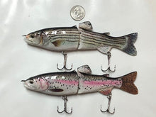 Load image into Gallery viewer, 2 Hightower&#39;s Tackle Company- Swimbaits 7&quot; Striper and Rainbow Trout